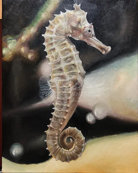 Seahorse