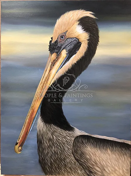 Pelican