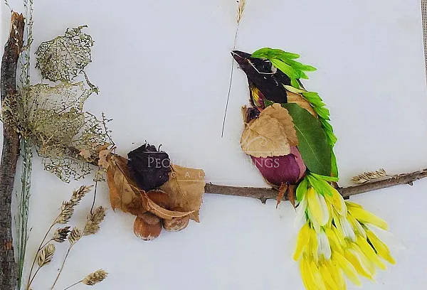 Art by nature