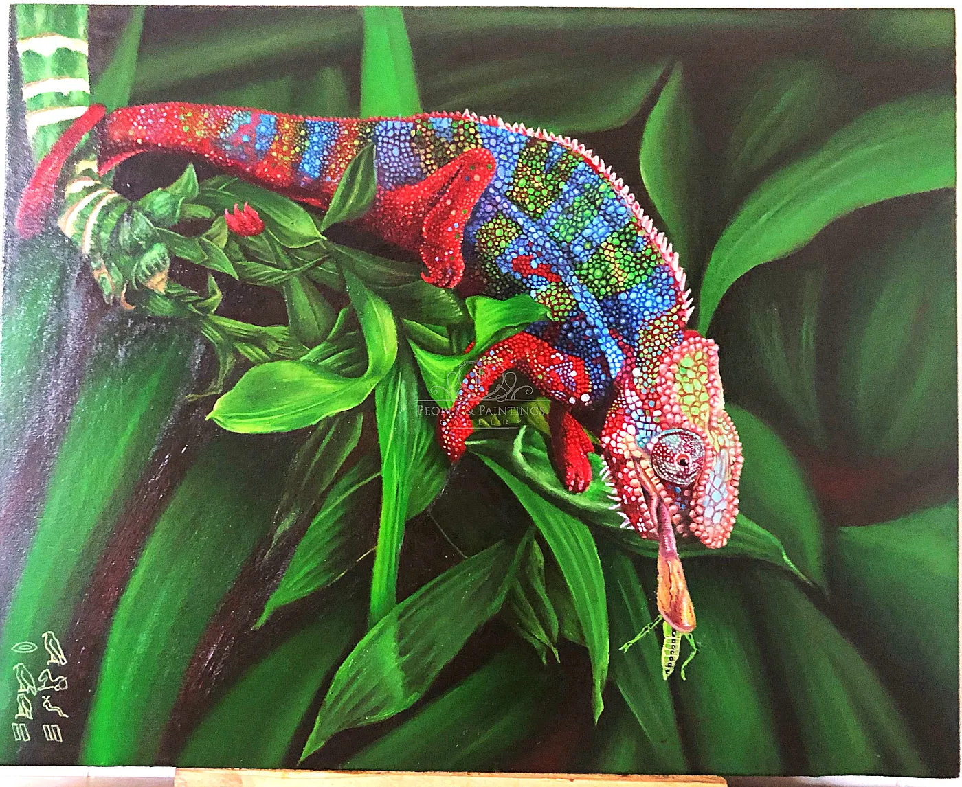Chameleon