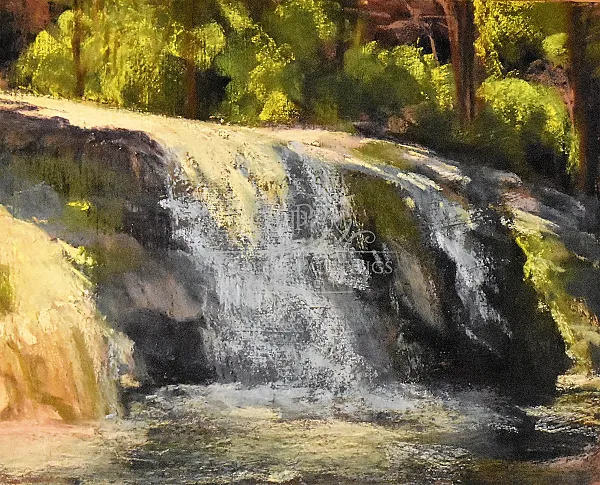 Carlon Falls