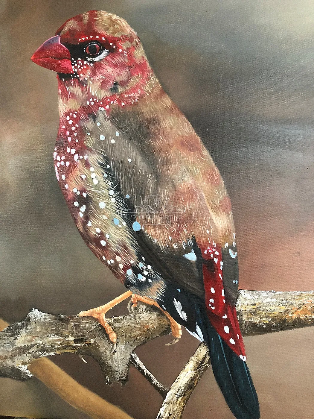 Strawberry Bird