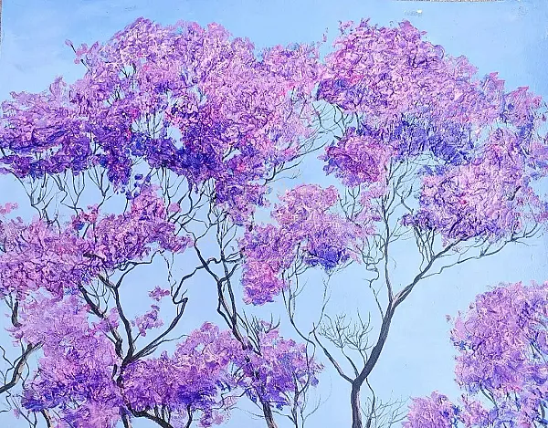 Las jacarandas