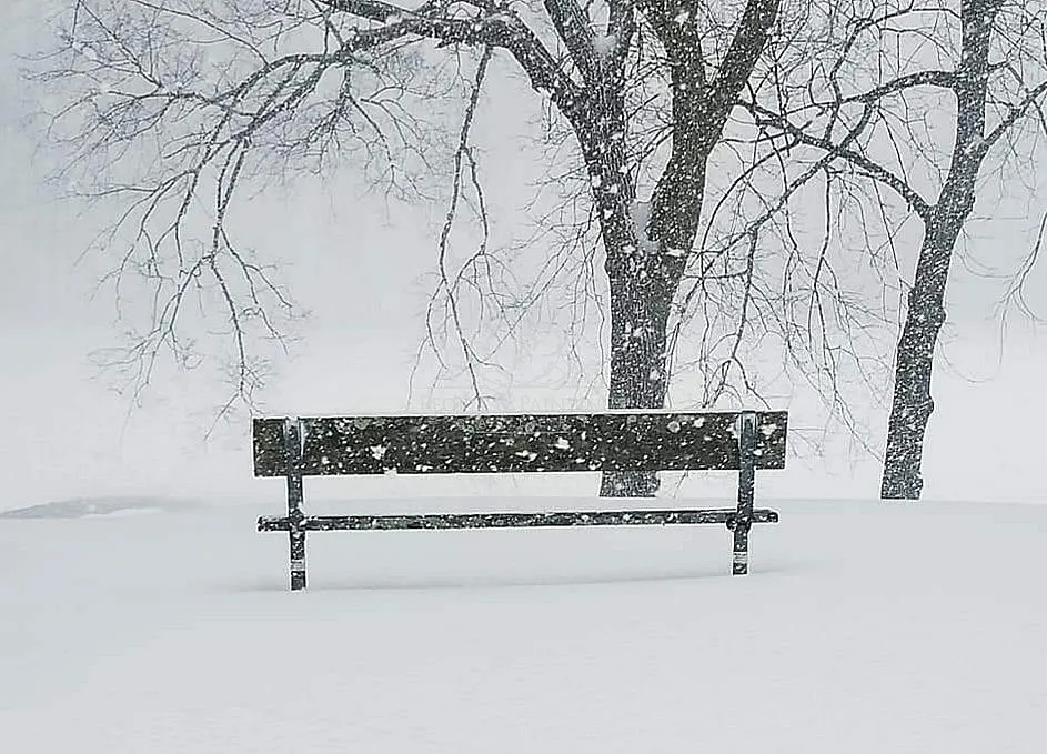 Silence