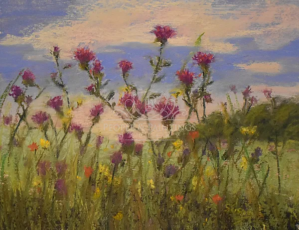 Thistle This