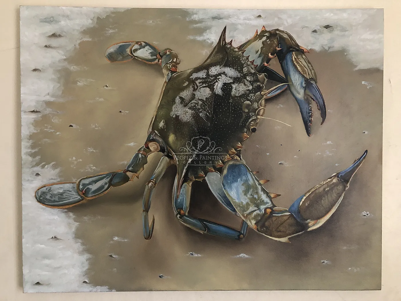 Blue Crab