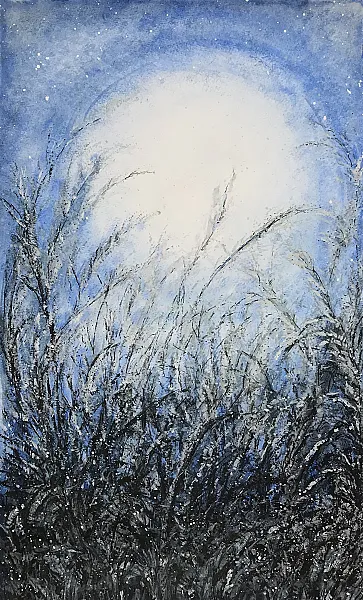 Night Meadow Dizziness