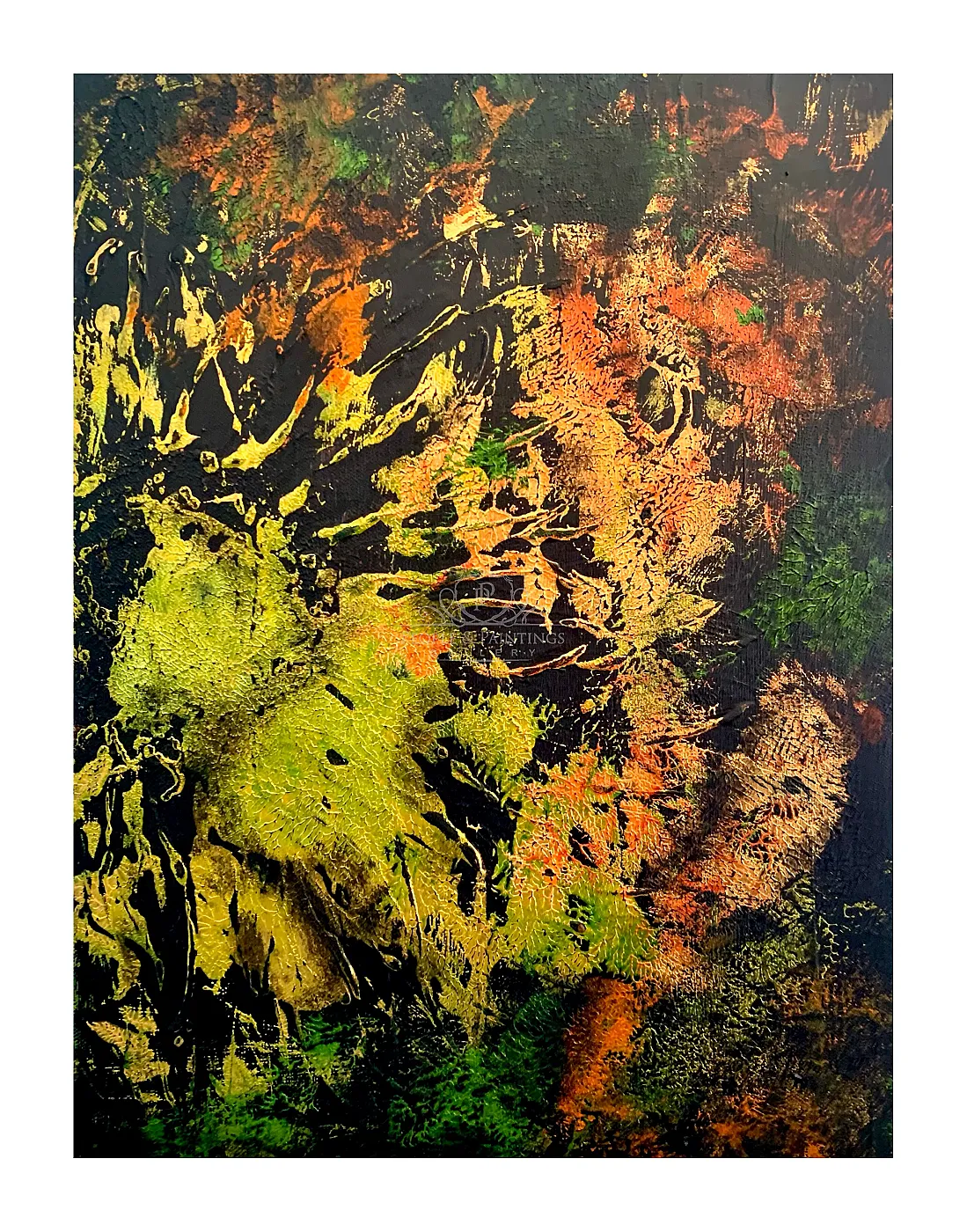 Bloom
