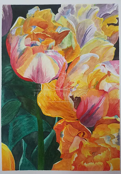 Tulips