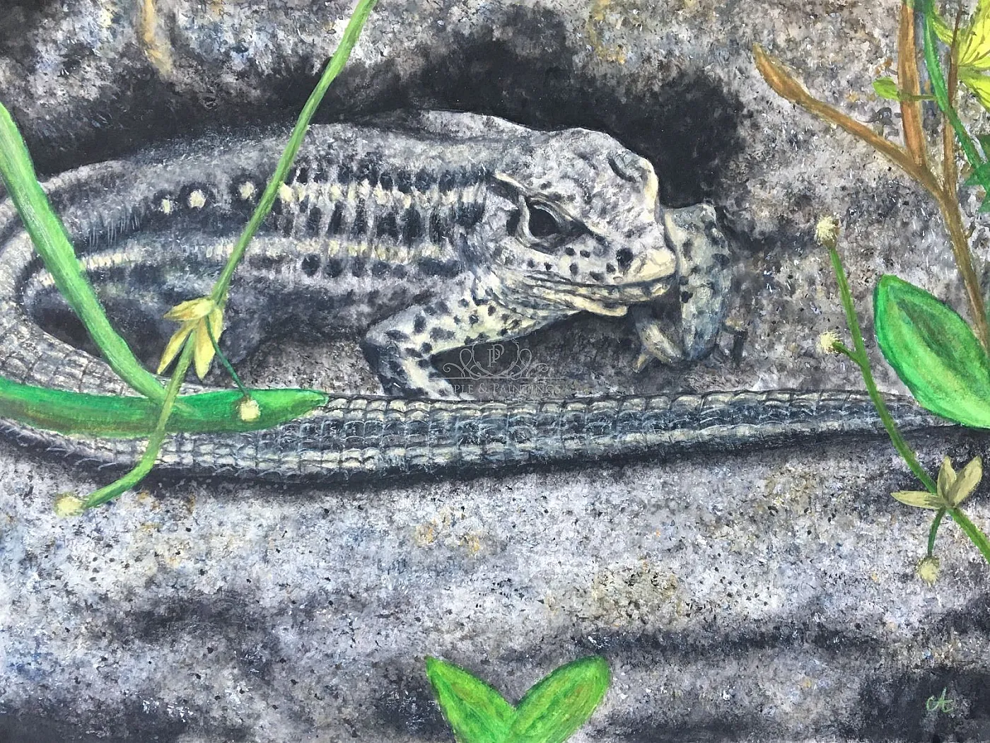 My garden's friend