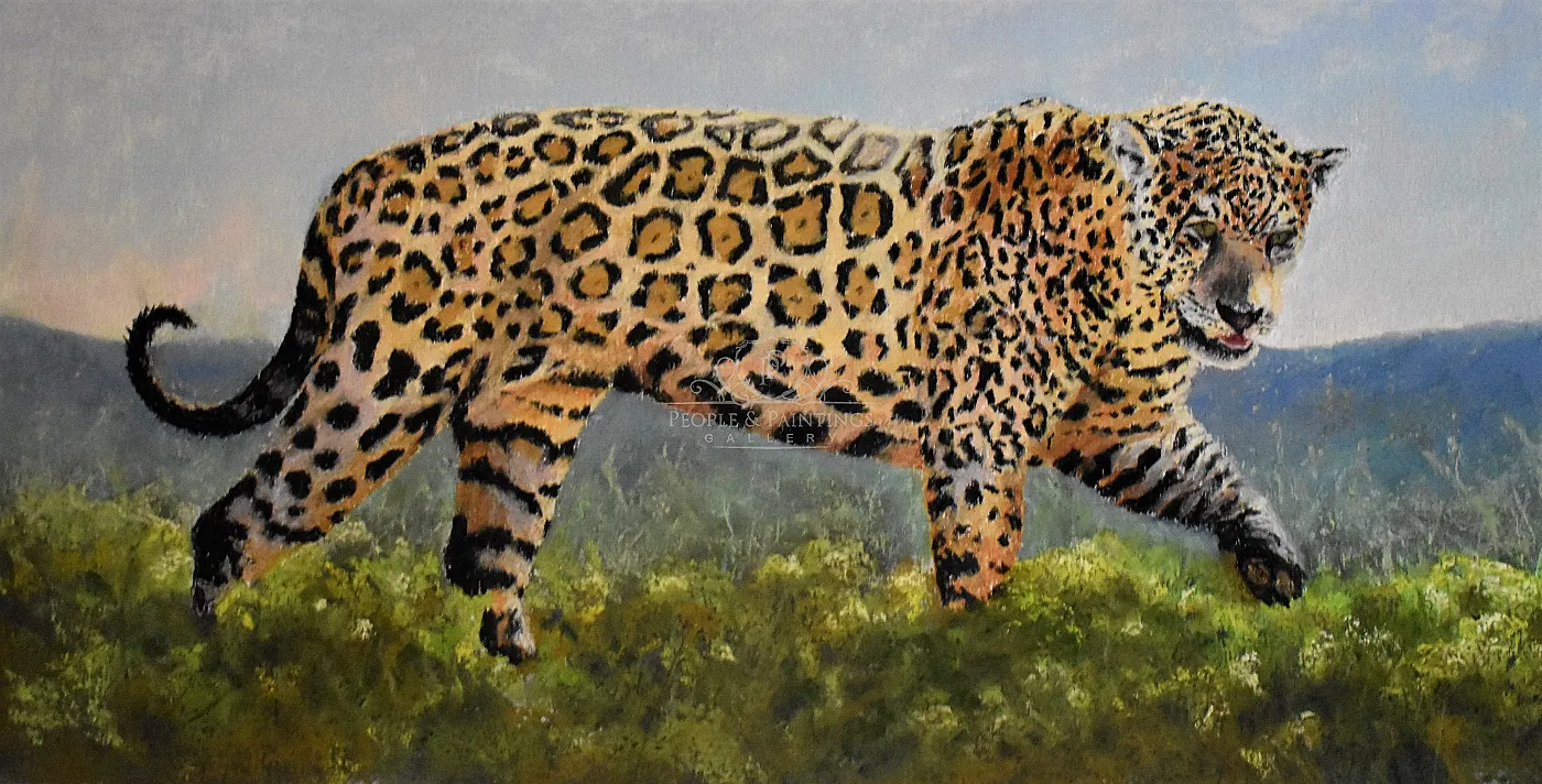 Onca Prowl