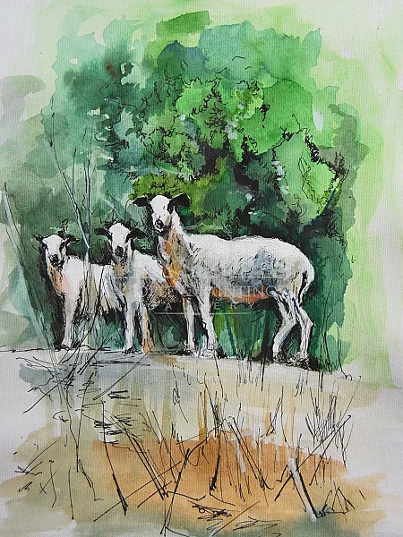 The Watchers