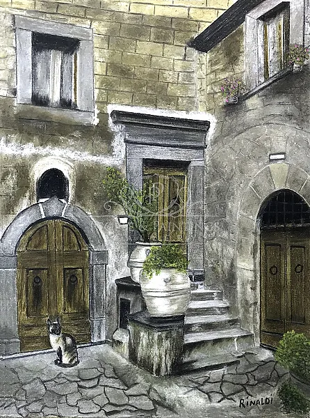 "Where is the Cat?"