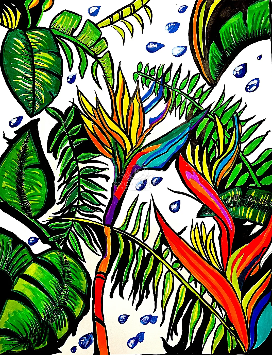 Rain Drops