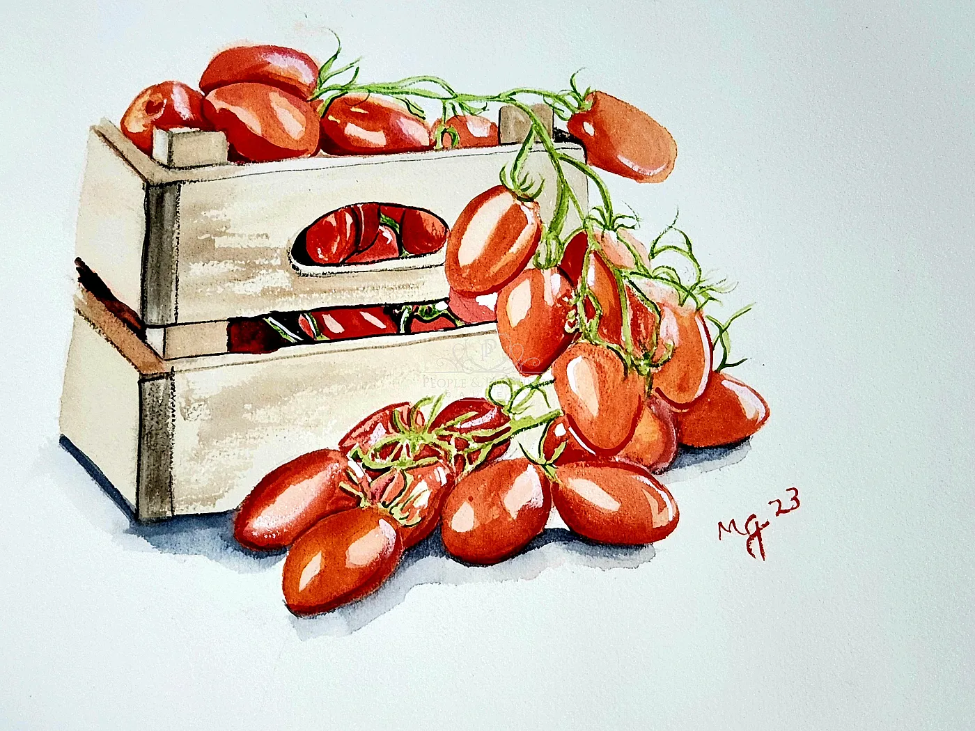Crate of Maters