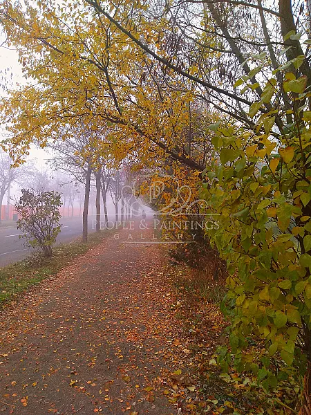 Autumn in a Misty Morning