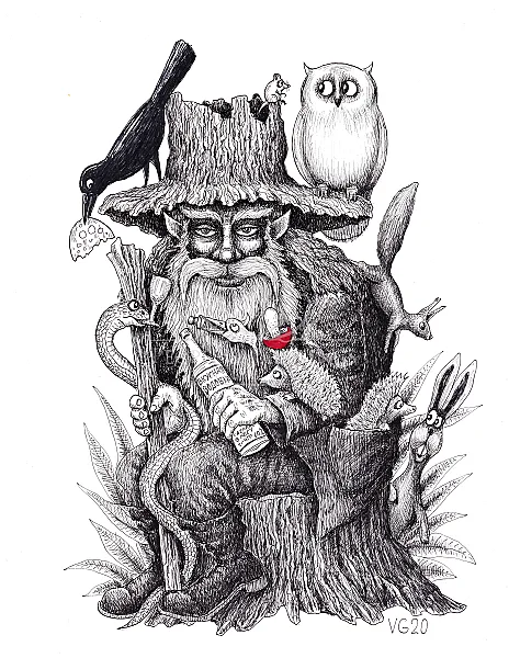 Forest Spirit