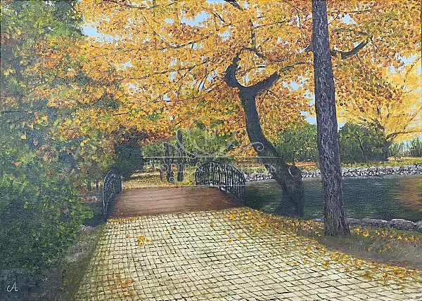 Autumn in Park Zdrojowy