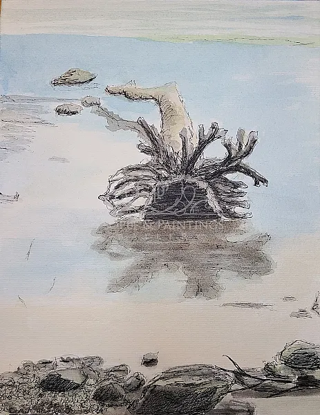 Dead Tree, Esopus Meadows