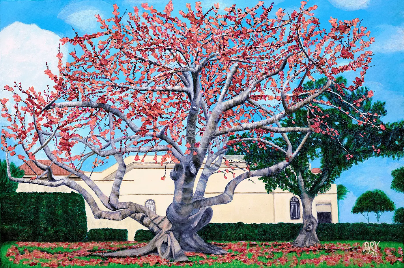 Branching Out