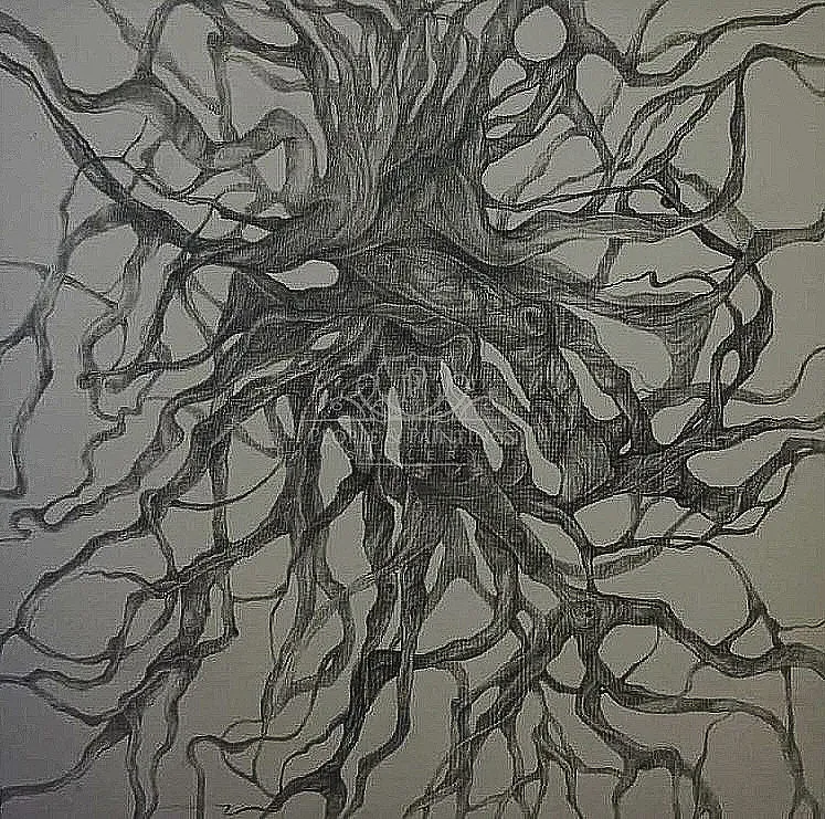 Branches
