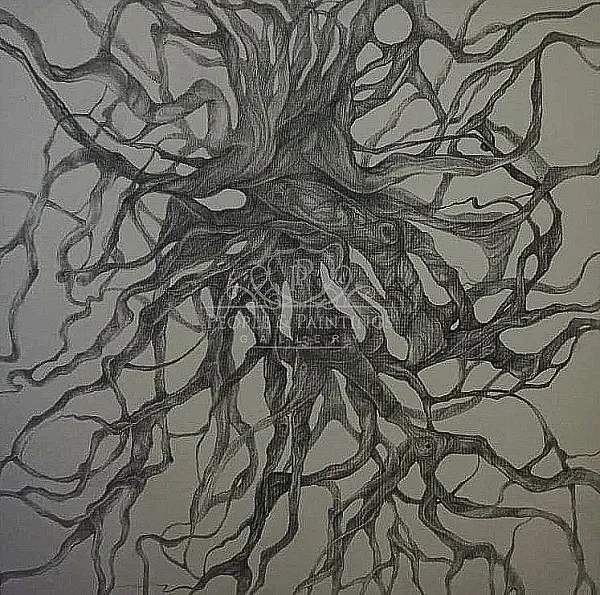 Branches