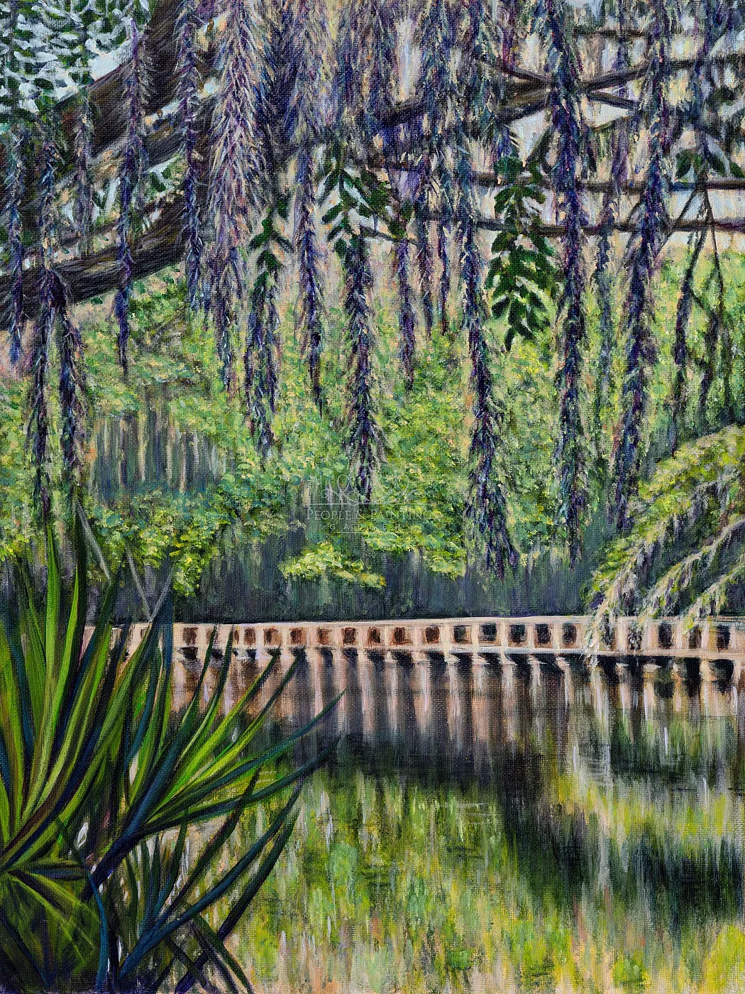 Bridge and Spanish Moss