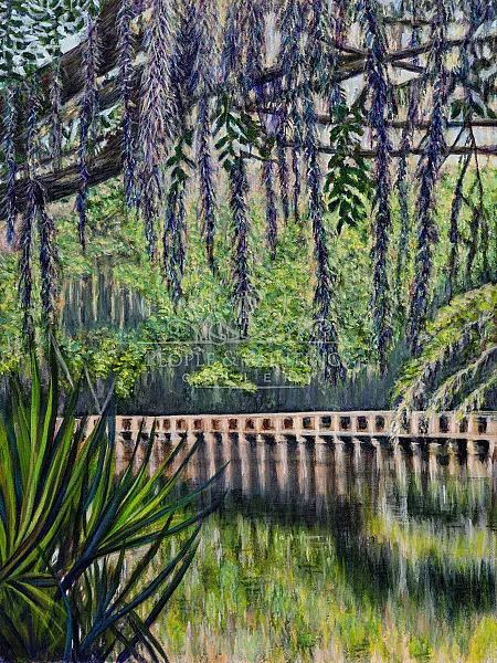 Bridge and Spanish Moss