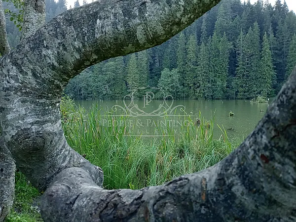 Lake through branches