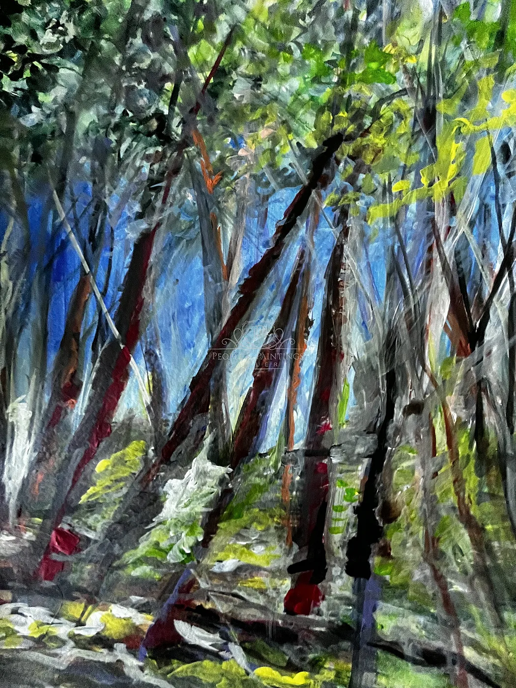 forest
