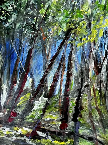 forest
