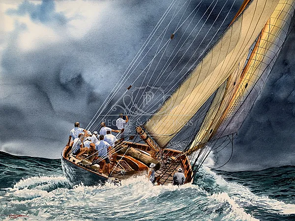 Spirit of Freedom