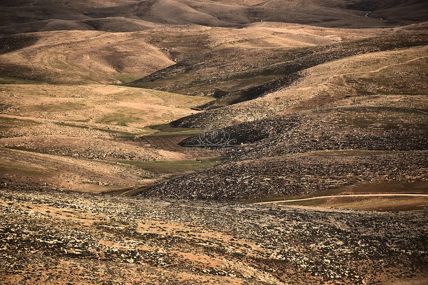 3827thedesert