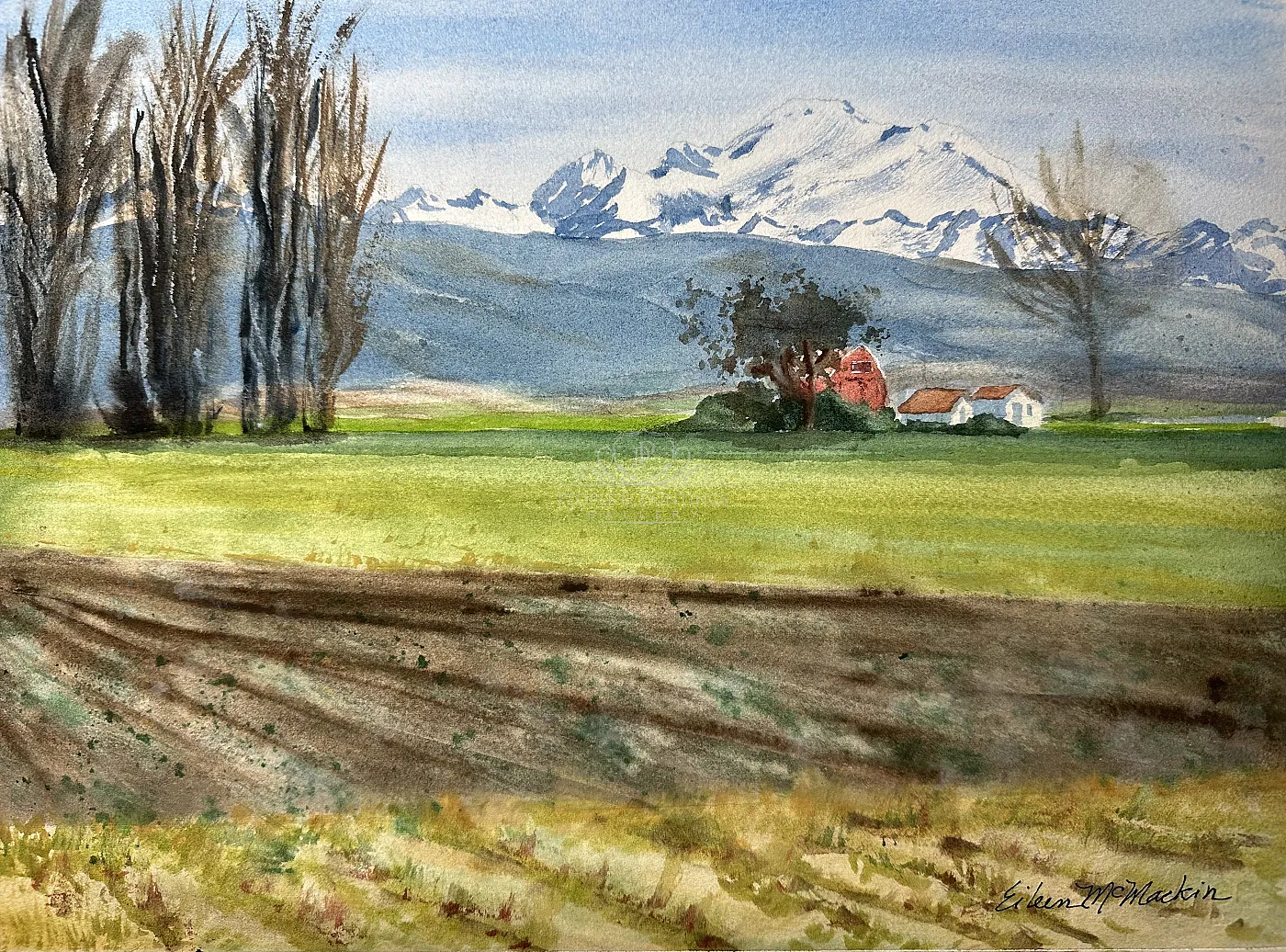 3842skagitvalleylatewinter