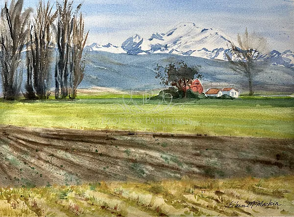 Skagit Valley Late Winter