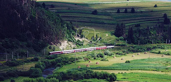 Landscape with a train