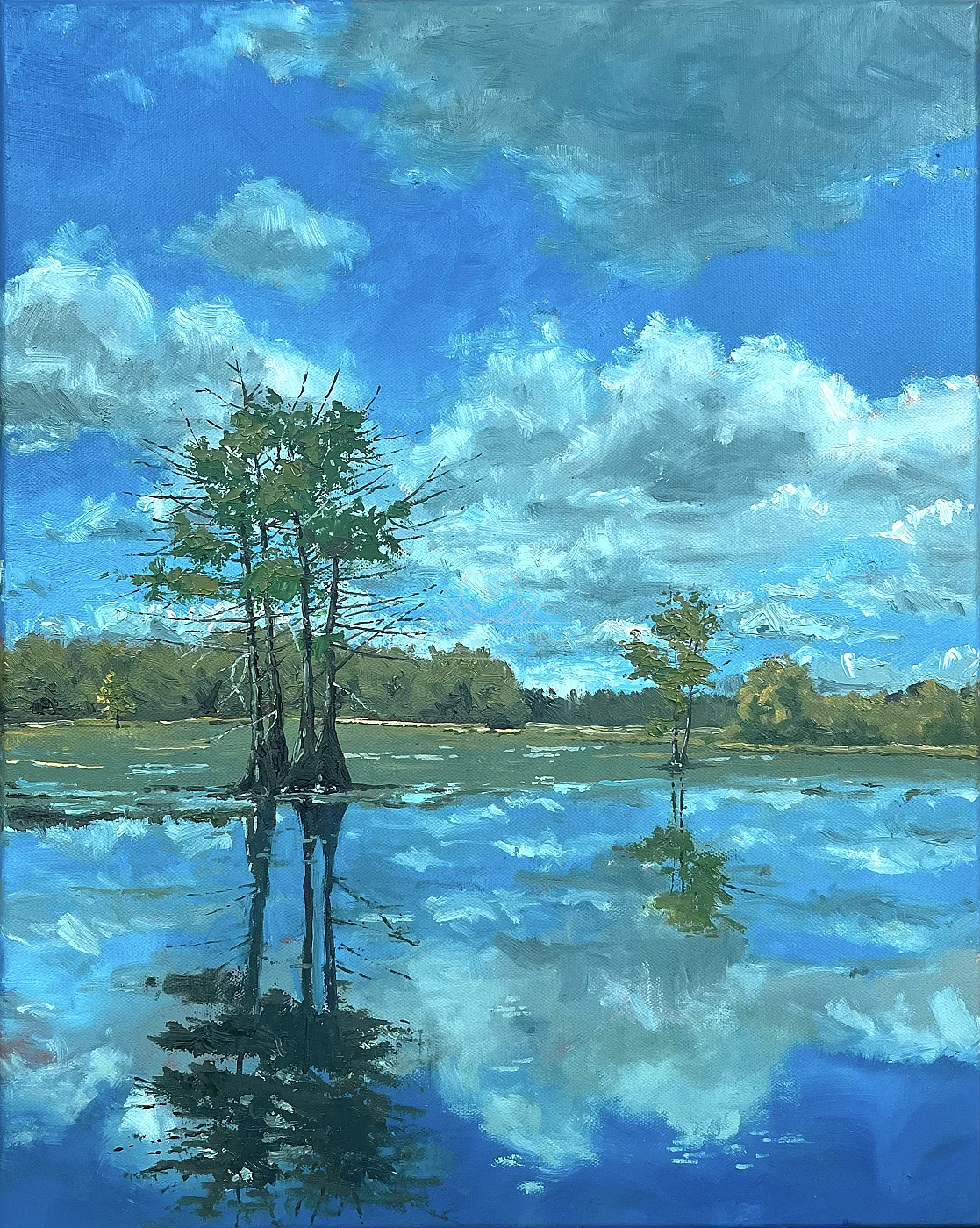 Reflections on the Santee