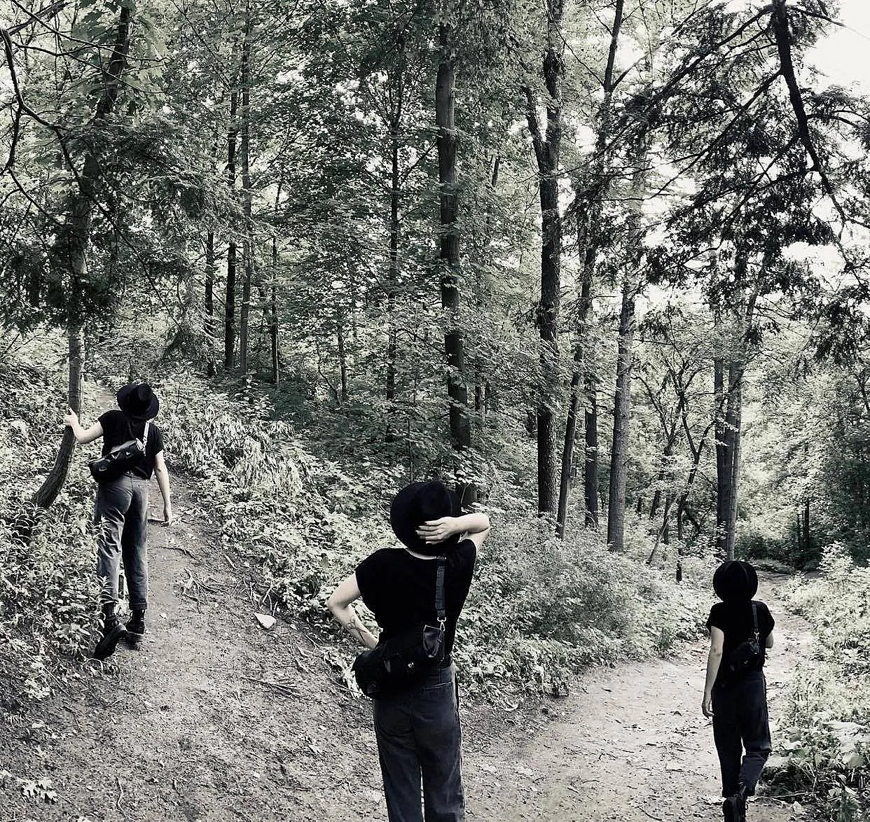 forks_in_the_road
