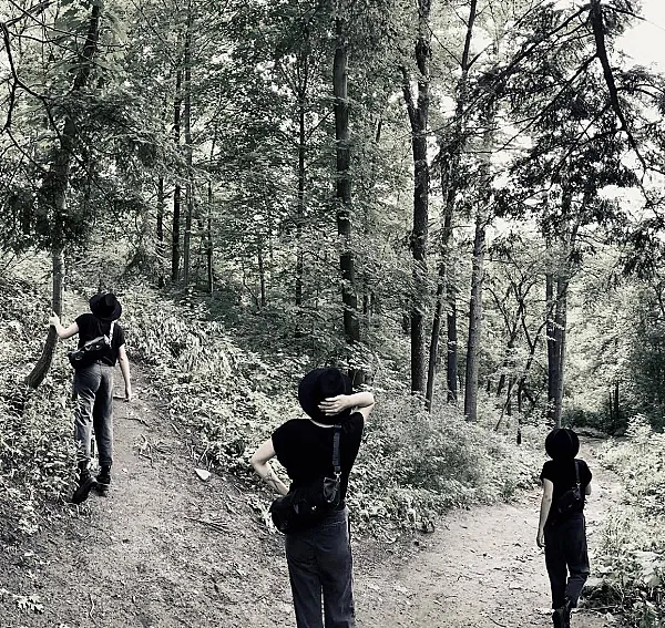 forks_in_the_road