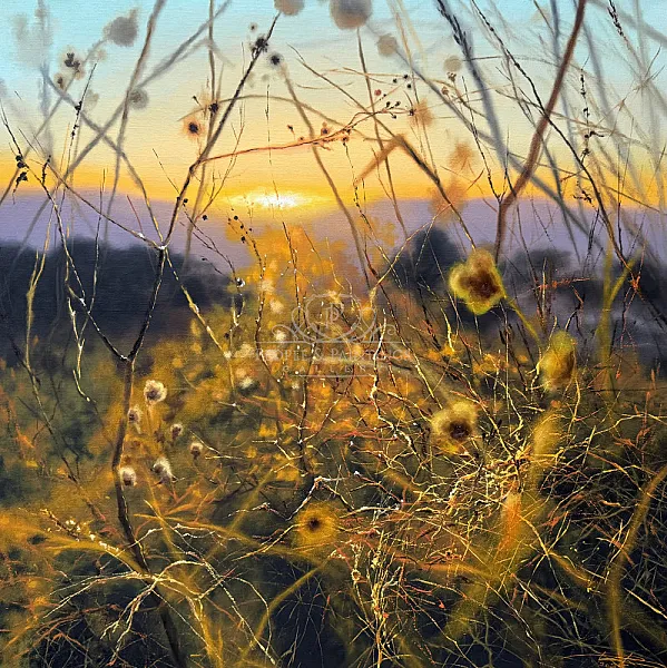 Artists of the Week: A Celebration of Summer